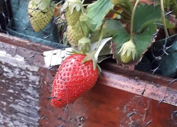 Bed and breakfast Coma A L'Ostal Montegut-Lauragais