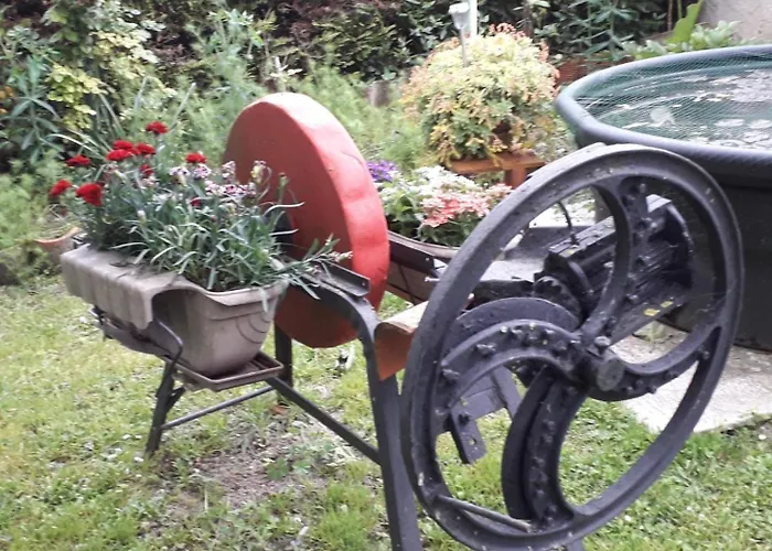 Coma A L'Ostal 3* Montegut-Lauragais