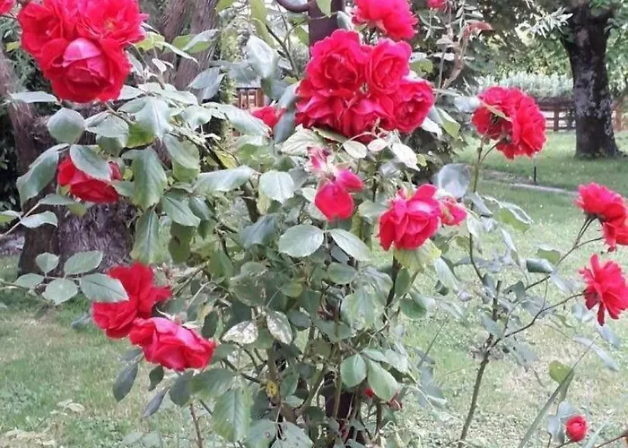 Coma A L'Ostal Bed and breakfast 3*