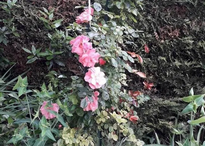 Bed and breakfast Coma A L'Ostal 3*